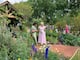 El Rey Carlos III y David Beckham diseñan un jardín sostenible en el prestigioso Chelsea Flower Show 2026