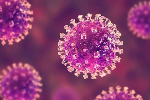 India dice que está contenido el virus Nipah