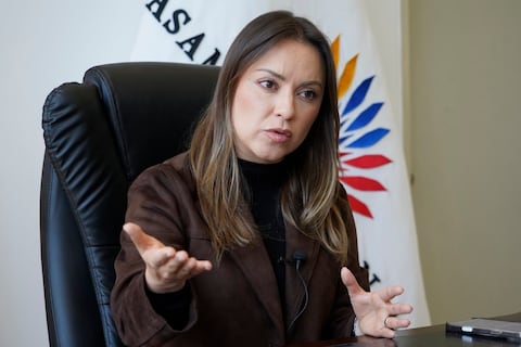 Mishel Mancheno: El juicio político a Mario Godoy garantiza transparencia