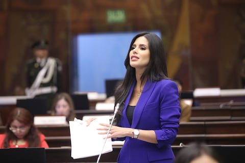 Asambleísta Diana Jácome es procesada en el CAL por recomendar a la bancada correísta “usar una buena pijama”