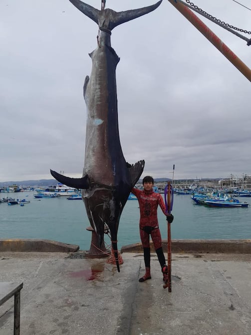 Sin uso de oxígeno, joven pesca marlín de 655 libras en Manabí