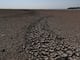 El super El Niño se alinea con la Oscilación del Índico: el doble fenómeno que amenaza con la peor sequía de la década