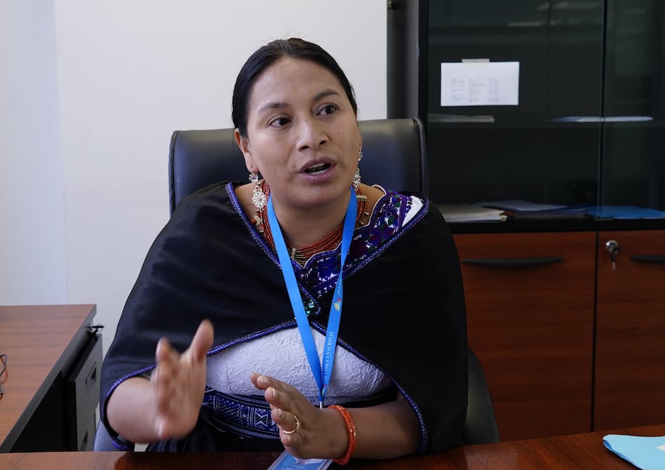 Cecilia Baltazar es la nueva presidenta de la Comisión de Educación de la Asamblea Nacional