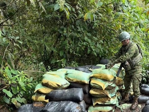 Operativo contra la minería ilegal en Imbabura deja pérdidas de $ 700.000 a grupos criminales