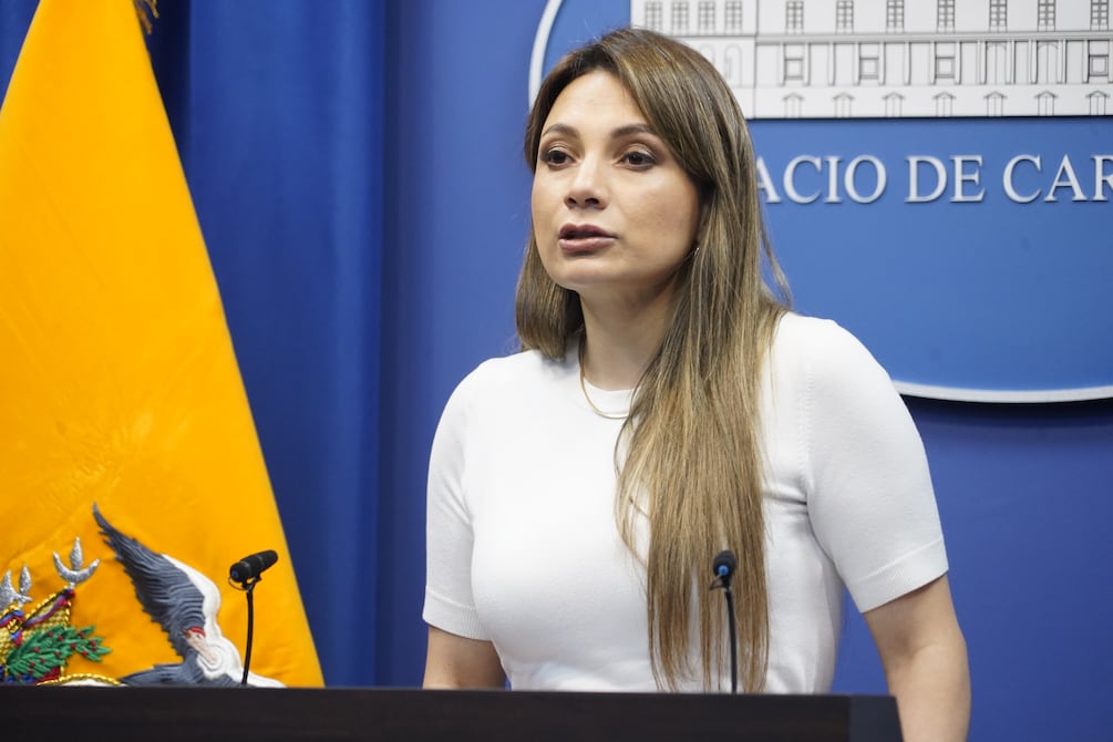 Gobierno sobre demandas de inconstitucionalidad a nuevas leyes: ‘Se responderá por la vía que corresponde’