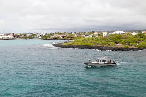 Inocar emite actualización por alerta de tsunami: olas alcanzarían 1,5 metros en zona Insular