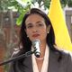 Jefa de observadores de la OEA hizo un llamado para frenar amenazas dentro del proceso electoral