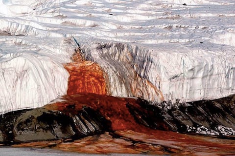Cataratas de Sangre: el misterio ancestral que los investigadores antárticos acaban de revelar