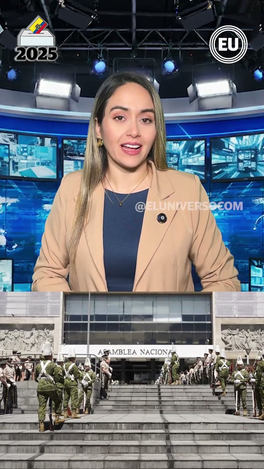 consulta popular 2025