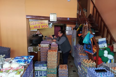 Productores avícolas sacrifican 2 millones de aves y logran subir el precio del huevo esta semana