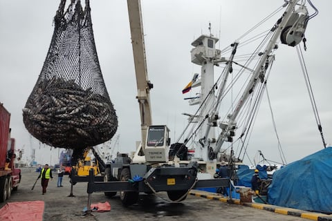 Sector exportador ve con interés posible recuperación, a largo plazo, de mercado venezolano