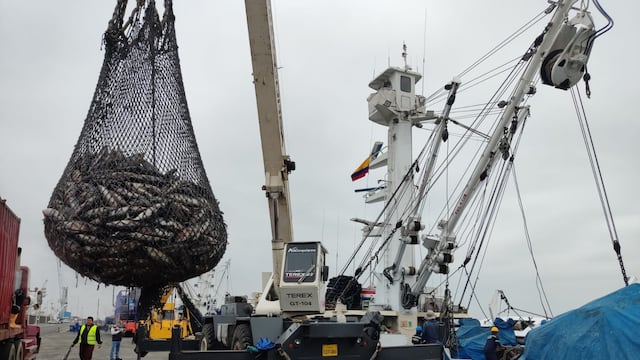 Sector exportador ve con interés posible recuperación, a largo plazo, de mercado venezolano