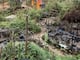 Fuerzas Armadas destruyen 67 campamentos de minería ilegal en el Parque Nacional Podocarpus