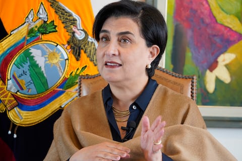 Gabriela Sommerfeld, canciller del Ecuador: Si se ahonda el problema de la producción de coca en Colombia, la violencia en el país será mayor