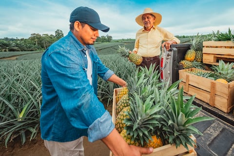 Banco Pichincha impulsa un modelo financiero responsable con resultados sostenibles