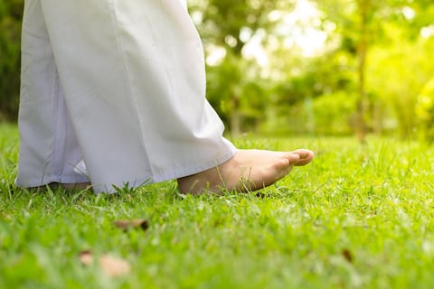 El orden solo lo pone la razón