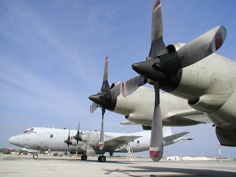 Así van los resultados de la pregunta A del referéndum y la consulta popular sobre la instalación de bases militares extranjeras en Ecuador