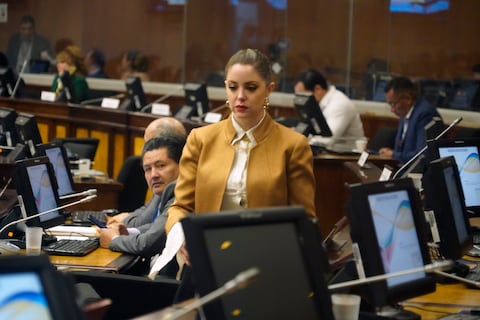 ADN no alcanza los votos para levantar la inmunidad parlamentaria a Mónica Palacios