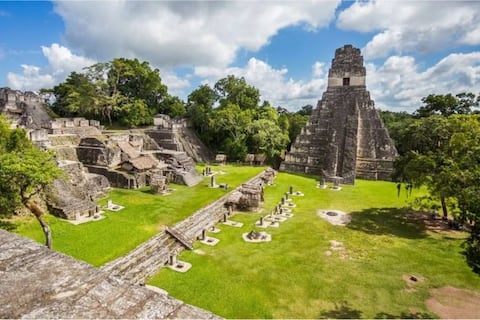 Prueba irrefutable: arqueólogos aseguran que encontraron evidencias de lo qué acabó con el reino maya