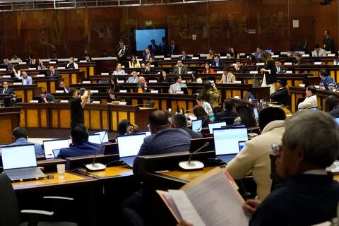 Correísmo no logra exhorto para que se declare en emergencia a la salud pública y la Asamblea Nacional pide a Daniel Noboa que garantice los servicios de salud