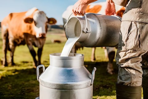 Aclaración del SRI sobre tarifa del IVA en productos alimenticios alerta a sectores productivos