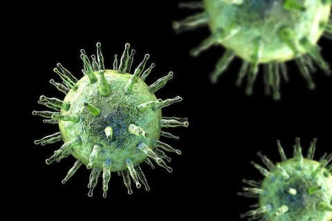 Estudio confirma vínculo entre el virus de Epstein-Barr y la esclerosis múltiple