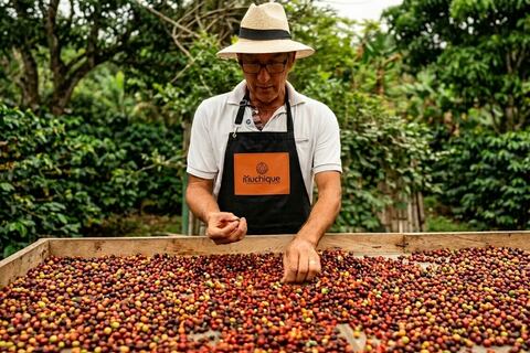 Del campo a las perchas: así el café y el plátano dejaron de ser materia prima para mover la economía de San Isidro, en Manabí