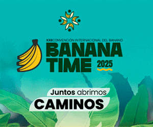 Publicidad Corporativo - Móvil