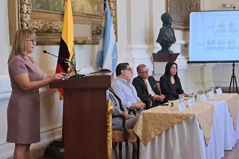 CFN desembolsó $ 243 millones en 2025, entre créditos y garantías parciales