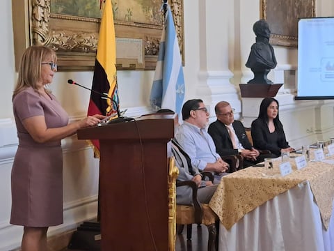 CFN desembolsó $ 243 millones en 2025, entre créditos y garantías parciales