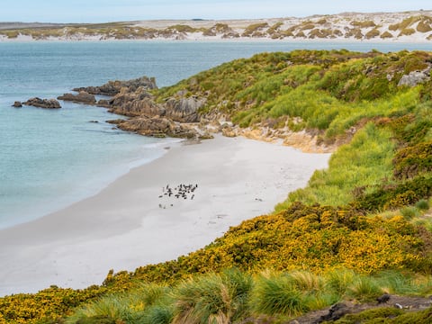 Las Malvinas son argentinas