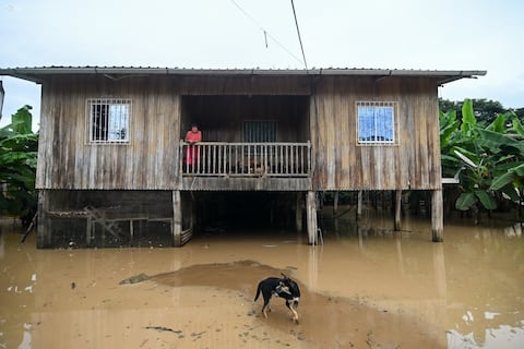 Inundaciones dejan más de $ 1,3 millones en pérdidas y 728 animales muertos en Chone