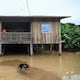Inundaciones dejan más de $ 1,3 millones en pérdidas y 728 animales muertos en Chone
