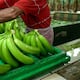 Ecuador aprovecha problemas de producción de Filipinas y exporta el triple de banano a Corea del Sur