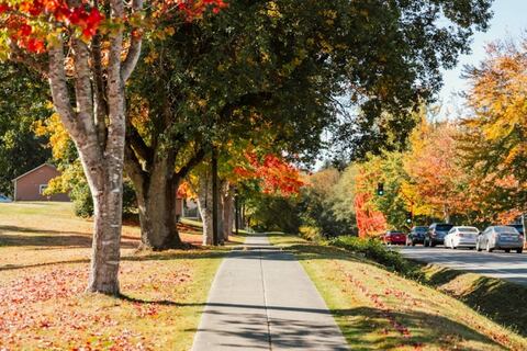 Están rodando una película futurista en esta pequeña ciudad de Nueva York: la trama romántica de ciencia ficción explora el amor y la tecnología