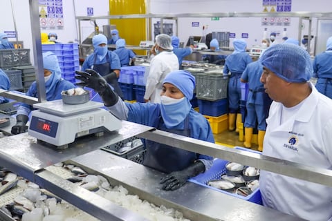 El macrosector que más empleo genera en Ecuador: registra más de 171.000 contratos en cuatro meses