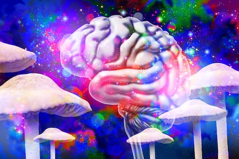 Las drogas psicodélicas ‘reorganizan’ el cerebro humano: estudio identifica efectos de la psilocibina, el LSD, la ayahuasca y la mescalina