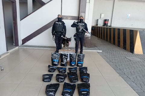 Perro antidrogas Cumi detecta 7,5 kilos de marihuana en la terminal terrestre de Manta