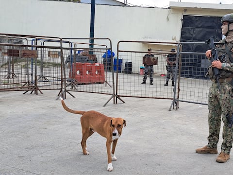 Unas 250 personas en régimen semiabierto se integran a trabajo comunitario en Esmeraldas