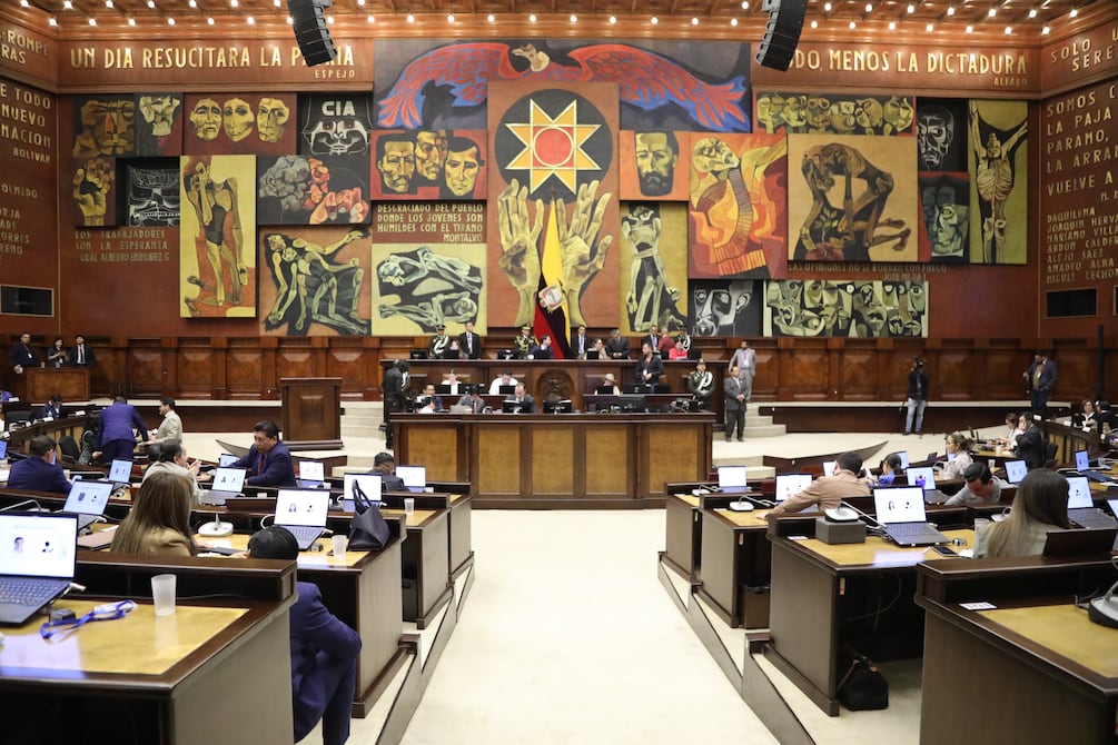 Proyecto de protección y defensa de los derechos de los animales espera los votos para su aprobación