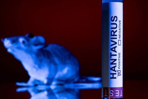 La OMS no descarta que se vean nuevos casos de hantavirus en próximos días o próxima semana
