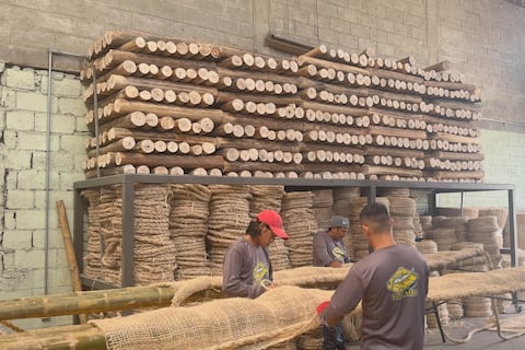 Pesca cambia plástico por material vegetal y hay avances: ‘Plantados ecológicos mejoran imagen ambiental de Ecuador’