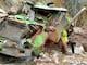 Un fallecido y un tráiler destruido por deslizamiento en la vía Cuenca-Girón-Pasaje