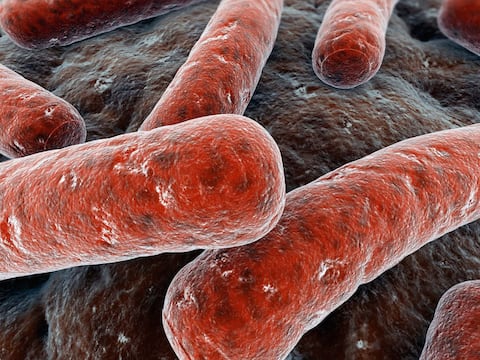 ¿Por qué se conmemora hoy el Día Mundial de la Tuberculosis?