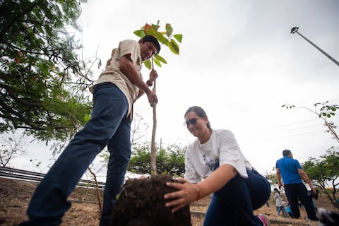 600 árboles se siembran en redondel del norte de Guayaquil