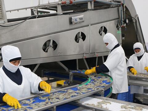 En 2025, exportaciones no petroleras llegarían a $ 29.100 millones, un récord por 9 años consecutivos