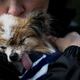 Lazare, el perro que rompió récords de longevidad, muere a los 30 años