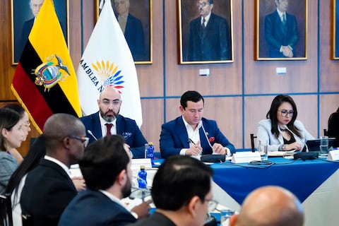 Análisis: Presiones y cálculos políticos rondan al Consejo de Participación Ciudadana en la elección de los cinco vocales de la Judicatura