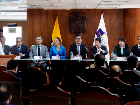 Jhoel Escudero, juez constitucional: ‘La Corte Constitucional trabaja con absoluta objetividad’