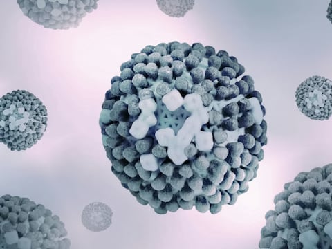 Brote de “supergripe” H3N2 en América y Europa “no es igual al Covid”: Expertos aclaran la situación y brindan consejos para cuidarse